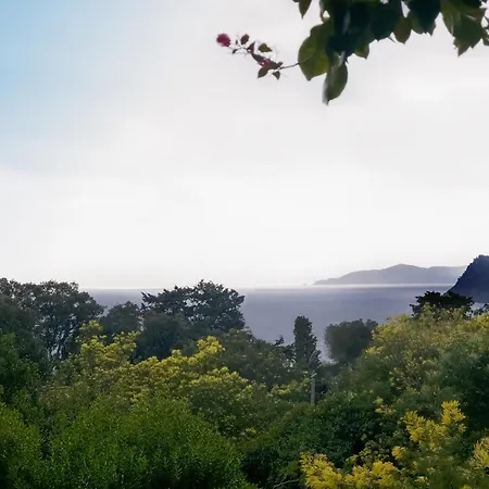 Lägenhet Superb Renovated T2 200m Sea View Terrace